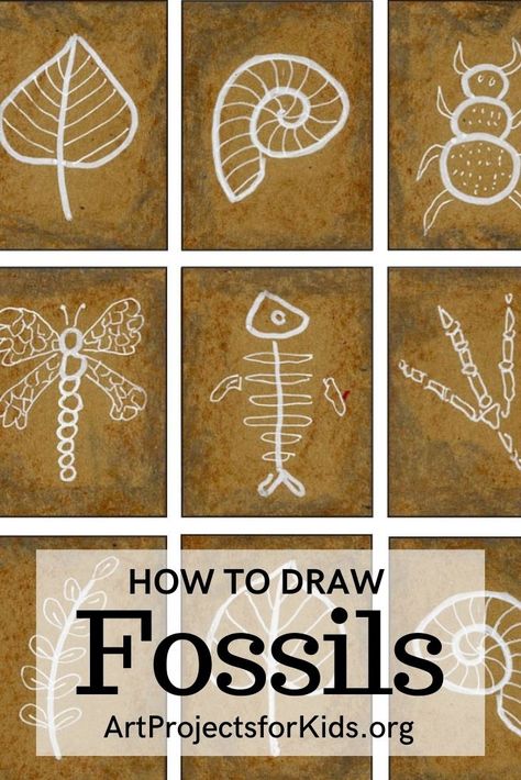 Learn how to draw a fossil, and make it look like it really is imprinted in stone. White lines on brown paper give them a much more realistic look. #howtodraw #tutorial #drawing #drawingtutorial #arttutorial #artprojectsforkids #howtodrawforkids Fossils Drawing, Fossils Lesson, Dino Crafts, Diy Fossils, Dinosaur Art Projects, Fossils Activities, Geology Art, Fossil Art, Pixie Haircuts For Women