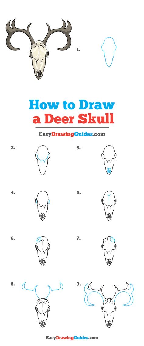 How To Draw A Bull Skull, How To Draw Deer Skull, Deer Head Drawing Easy, How To Draw A Cow Skull, How To Draw Animal Skulls, Deer Skull Drawing Simple, Moose Skull Drawing, How To Draw Antlers, How To Draw A Moose