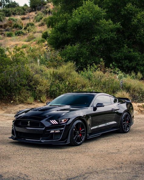 Black Mustang Gt, Mustang Gtr, Mustang Shelby Gt 500, Mustang Car Aesthetic, Interior Car Cleaning, Aesthetic Car Accessories, Mustang Shelby Cobra, Black Mustang, Shelby Gt 500