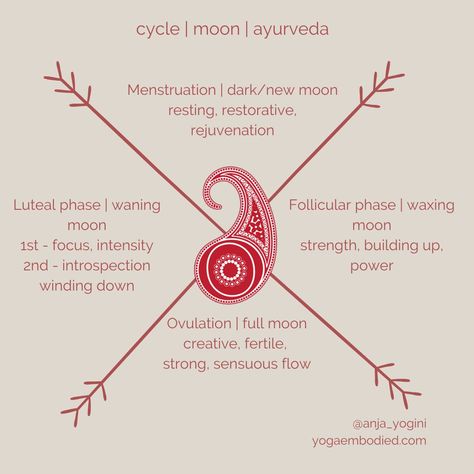 Moon Menstrual Cycle, Womb Connection, Cycle Awareness, Cyclical Living, Menstruation Cycle, Healing Workshop, Womb Healing, Ayurvedic Practitioner, Cycle Syncing