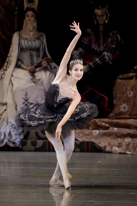 Alina Somova and Danila Korsuntsev in Swan Lake Sleeping Beauty Ballet, Swan Lake Ballet, Contemporary Ballet, Bolshoi Theatre, Ballet Performances, Prima Ballerina, Bolshoi Ballet, Ballet Poses, Russian Ballet