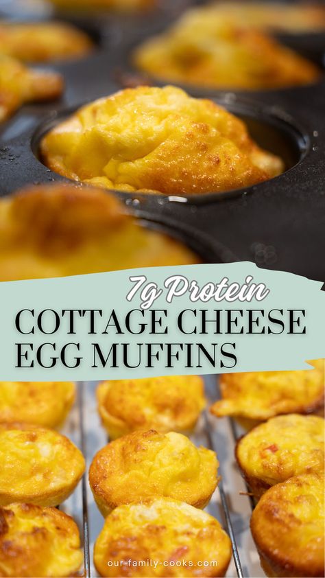 Looking to meal prep a high-protein breakfast? Try these Cottage Cheese Egg Muffins! They’re packed with protein and perfect for busy mornings, keeping you full and energized. Follow @ourfamilycooks for more recipe ideas! SAVE this pin for the future! This will be loved by your kids. #toddlerbreakfast #eggmuffins #mealprepping #cottagecheese #MealPrep #HighProtein #CottageCheeseEggMuffins #HealthyBreakfast Cottage Cheese Egg Muffins, Breakfast Cottage Cheese, Protein Breakfast Muffins, High Protein Low Carb Breakfast, Cottage Cheese Breakfast, Breakfast Egg Muffins, Cottage Cheese Eggs, Egg Bites Recipe, Cheese Breakfast