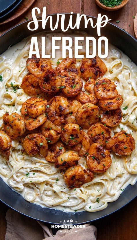 Shrimp Alfredo is tender fettuccine pasta tossed in a creamy alfredo sauce with sauteed seasoned shrimp. It’s a dish that can be ready in under 30 minutes for a flavorful main course any day of the week! Pasta Dishes Alfredo, Frozen Shrimp Alfredo Pasta, Blackened Shrimp Alfredo Pasta, Healthy Pasta Shrimp Recipes, How To Season Shrimp For Alfredo, Shrimp For Alfredo Pasta, Chicken And Shrimp Fettuccine Alfredo, Spicy Shrimp Alfredo Pasta, Alfredo Speggetti