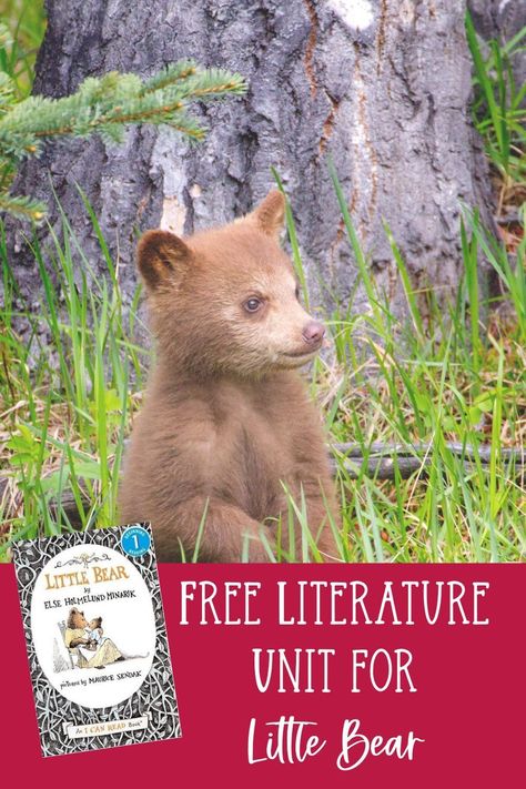 In this post I’m sharing information, ideas, and links that you can use to create a free literature unit for one of my favorite books for young children- Little Bear by Elsa Holmelund Minarik. This post is part of 31 Days of Free Literature Unit Ideas. Graphic Organizer For Reading, Literature Unit Studies, Unit Studies Homeschool, I Can Read Books, My Favorite Books, National Geographic Kids, Unit Studies, Unit Study, Little Bear