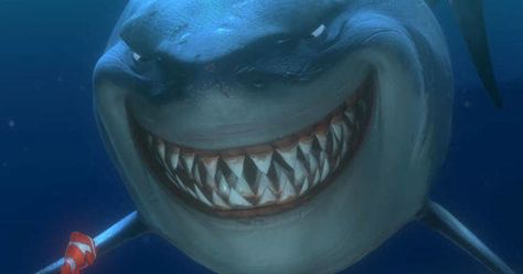 Smiling Lemon Shark Looks Just Like Bruce From 'Finding Nemo' Ocean Gif, Sharks Scary, Finding Nemo 2003, Disney Gifs, Film Disney, Disney Animals, Pixar Movies, Great White Shark, Finding Nemo