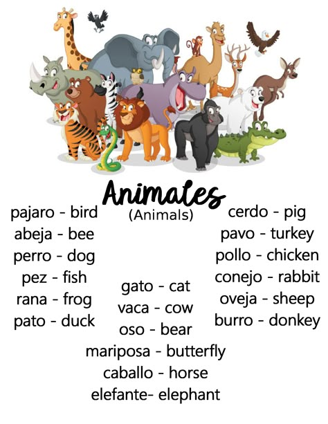 Teaching Colors In Spanish, Learning Spanish Aesthetic, Spanish Words For Kids, Spanish Sight Words, Animals In Spanish, Preschool Spanish Lessons, Beginner Spanish Lessons, Spanish Animals, Vocabulary In English