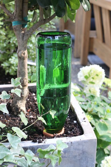 How to water the plants while you're away | Jones Design Company Diy Self Watering Plant Spikes, How To Self Water Outdoor Plants, Diy Plant Waterer, Plant Watering Hacks, Self Watering Planter Diy, Self Watering Bottle, Water Core, Compost Garden, Plant Waterer