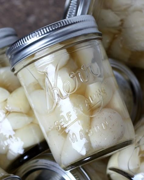 Barefeet In The Kitchen: Kitchen Tip: How To Preserve Garlic How To Preserve Garlic, Preserve Garlic, Preserving Garlic, Canning Food Preservation, Canned Food Storage, Pickled Garlic, Kampot, Home Canning, Aioli