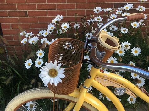 Aesthetic Bike, Yellow Aesthetic Pastel, Bicycle Decor, Bike Aesthetic, Spring Aesthetic, Yellow Aesthetic, + Core + Aesthetic, Spring Vibes, Foto Inspiration