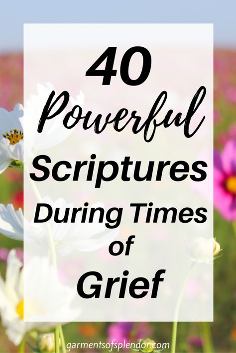 Prayers For Comfort During Loss, Scriptures For Loss Of Mother, Scripture For Grieve, Comfort In Time Of Sorrow, Biblical Quotes For Strength, Sympathy Scripture Quotes, Bible Verses For Loved Ones In Heaven, Power Verses Scriptures, Scripture Readings For Funerals