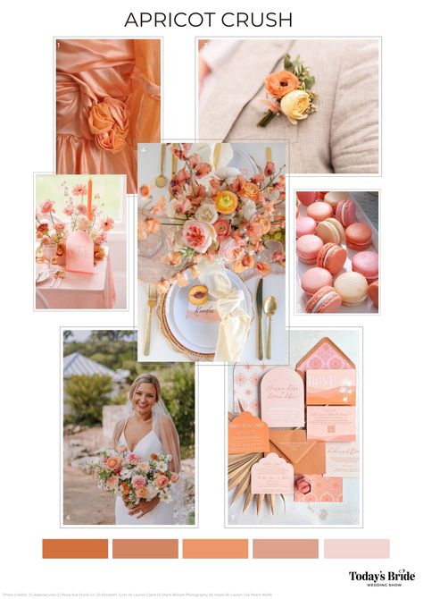 FIND YOUR PERFECT COLOR PALETTE Coral Wedding Florals, Pantone 2024 Apricot Crush, Peach Fuzz Pantone 2024 Wedding, Apricot Crush Wedding Theme, Apricot Crush Wedding, Apricot Crush Color Palette, Apricot Colour Palette, Apricot Crush Pantone 2024, Apricot Crush Pantone