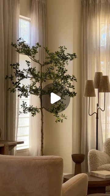 Sandra | Auvelle Home on Instagram: "so i found a FAUX shady lady tree instead 🥰 i’ve waited years to find a tree like this and truth be told, i wish that the leaves were just a little smaller. but I still think this is a keeper !! hoping the 9ft version of this tree that i ordered too comes in soon.   let me know if you guys want details 😍" Shady Lady Tree, Build Inspiration, Truth Be Told, Shady Lady, Faux Tree, A Tree, Building A House, Let Me, Instagram