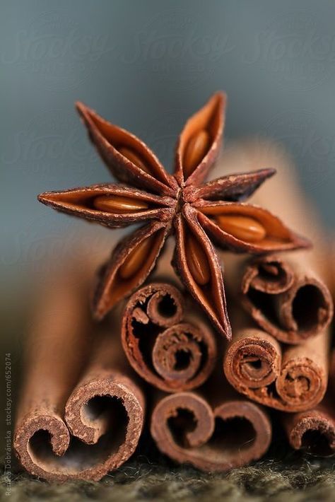 Raw Thai spices. Autumn Spices, Spices Photography, Natural Spices, Thai Spices, Food Photography Inspiration, Foto Tips, Spices And Herbs, Star Anise, Food Photography Styling