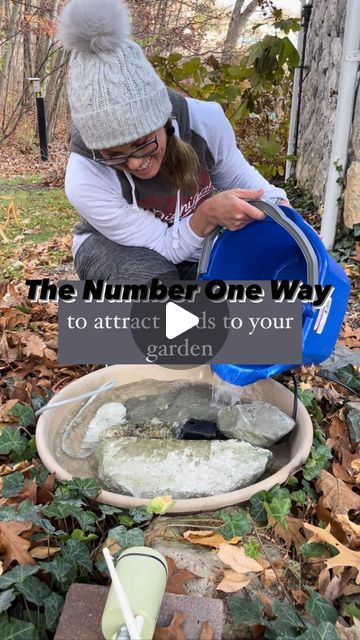 🌸 Mary Ann ~ Seasonal Home & Garden Tips. on Instagram: "7️⃣ Steps HERE 👇🏻
.
🕊 The number one way to attract birds to your garden is… WATER!! 
.
🕊 If you LOVE watching backyard birds while you are gardening you want to do this:
.
*️⃣ Steps to creating a backyard bird bath with smart camera:
.
1️⃣ Location.
.
🕊A spot in your garden with good cover from predators and a good lookout spot for the birds to evaluate the bird bath. It also has to be close to an outdoor outlet. 
.
2️⃣ A large tray:
.
🕊 Large enough and deep enough for the pump and slate/rocks.
.
3️⃣ Pieces of slate & rocks:
.
🕊You need 2 large pieces of slate, each resembling a semicircle. Both need to be different thicknesses to offer a deep and shallow end for your birds. 
.
🕊 The deeper end is for larger birds like rob Bird Bath With Rocks, Natural Bird Bath, Diy Bird Waterer, Diy Cement Bird Bath, Bird Oasis Backyard, Bird Baths In Garden, Homemade Bird Bath, Bird Bath Ideas Landscaping, Bird Bath In Garden