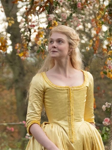 1750s Dress, 1600 Dresses, Ball Gowns Fantasy, French Dresses, Rococo Fashion, Royalty Aesthetic, Catherine The Great, Iconic Dresses, Elle Fanning