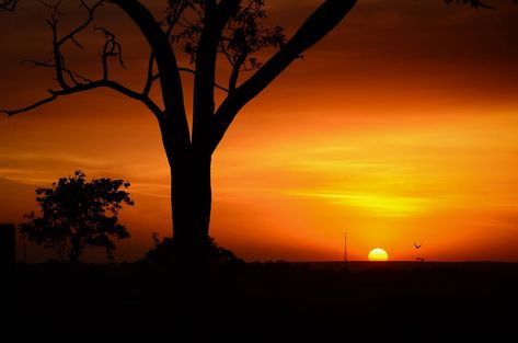 5 Easy Tips For Improving Your Sunset Photography Beach Sunset Images, Quotes Successful, Silhouette Pictures, Inspirational Life Quotes, Sunset Images, Silhouette Photography, Winter Sunset, Amazing Sunsets, Sunset Landscape