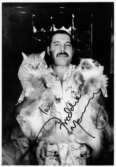 Freddie Mercury with his cats, Oscar and Tiffany. Celebrities With Cats, Men With Cats, Freddy Mercury, Queen Freddie Mercury, Two Cats, Queen Band, Famous Singers, Cat People, Freddie Mercury