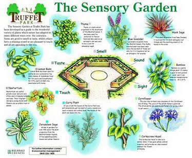 sensory garden plan - we could keep everything one level and frame on all sides... bit boring?! Sensory Plants, Sensory Gardens, Horticultural Therapy, Horticulture Therapy, Preschool Garden, Healing Garden, Sensory Garden, Garden Plan, Children's Garden