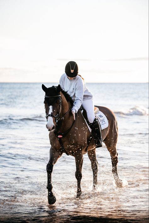 Horse Photography Poses, Horsey Life, Horse Riding Aesthetic, Funny Horse Pictures, Show Jumping Horses, Equestrian Aesthetic, Cute Horse Pictures, Horse Aesthetic, Equestrian Lifestyle