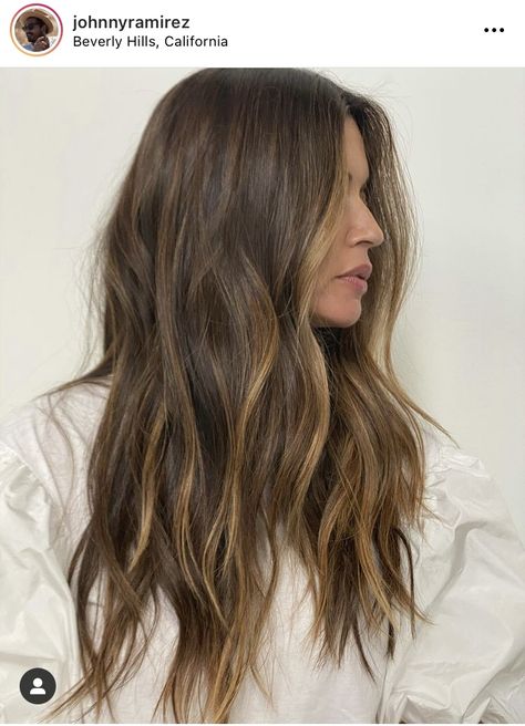 Light Brown Partial Balayage, Mini Partial Highlights, Classic Brunette Hair, Soft Balayage Brunette, Soft Autumn Hair Color, Subtle Brunette Balayage, Fall Brunette Hair, Lived In Balayage, Warm Caramel Balayage