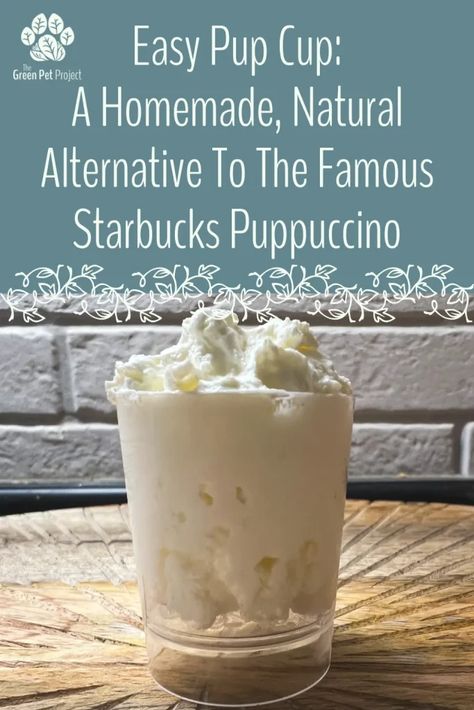 Easy Pup Cup: A Homemade Starbucks Puppuccino Alternative | The Green Pet Project Pup Cups Recipe Starbucks, Starbucks Pupcup Recipe, How To Make A Pup Cup, Dog Whipped Cream, Diy Pup Cup Recipe, Pupachino Recipe, Pup Cups Recipe, Puppuccino Recipe, Pup Cups