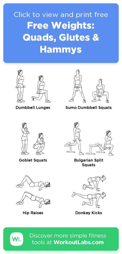 Free Workout: Free Weights: Quads, Glutes & Hammys · WorkoutLabs Fit Quad Workout Weights, Hamstring Quads And Calves Workout, Glutes And Hammies Workout Gym, Glutes And Quad Workout, Quads Hamstrings Glutes Workout, Quads And Shoulders Workout, Quad Hamstring Glute Workout, Hammies Workout Gym, Toned Quads Workout