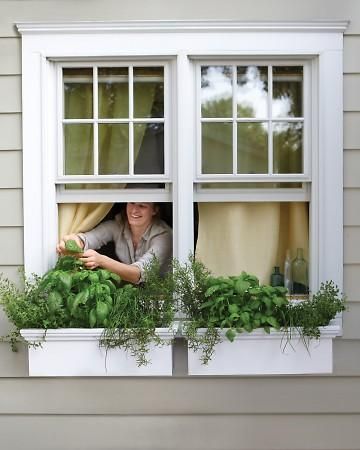 These window boxes, just two feet long each, are big enough to grow all sorts of herbs, including oregano, basil, chives, and rosemary. Herb Window Boxes, Kitchen Window Herb Garden, Herb Garden Window, Herb Window, Window Herb Garden, Window Box Garden, Jardim Diy, Diy Herb Garden, Garden Windows