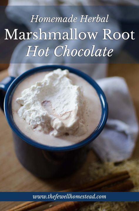 Winter Herbs, Marshmallow Root Tea, Marshmallow Hot Chocolate, Herbal Teas Recipes, Hot Chocolate Recipe, Herbal Drinks, Recipes With Marshmallows, Marshmallow Root, Herbal Recipes