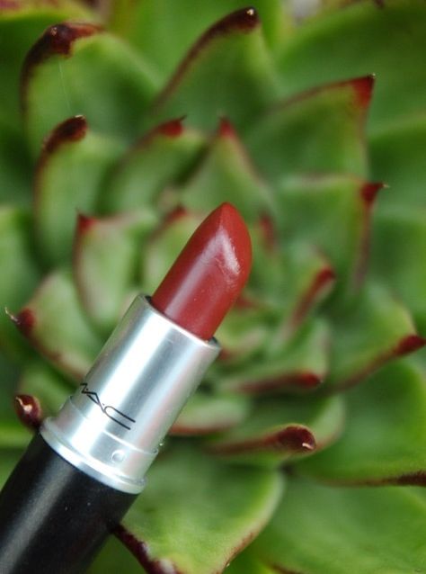 RubyHue Lipstick Review: MAC Spice It Up (Lustre) Mac Spice It Up, Mac Spice, What Is Freedom, Spice It Up, World Photography, School Lunch, Text Image, Wonderful Things, Natural World