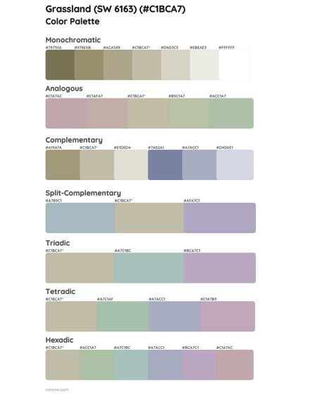 Sherwin Williams Grassland (SW 6163) Paint coordinating colors and palettes Draw A Hexagon, Pantone Color Guide, Cloud Paint, Color Generator, Analogous Color Scheme, Rgb Color Codes, Split Complementary Colors, Rgb Color Wheel, Plymouth Rock