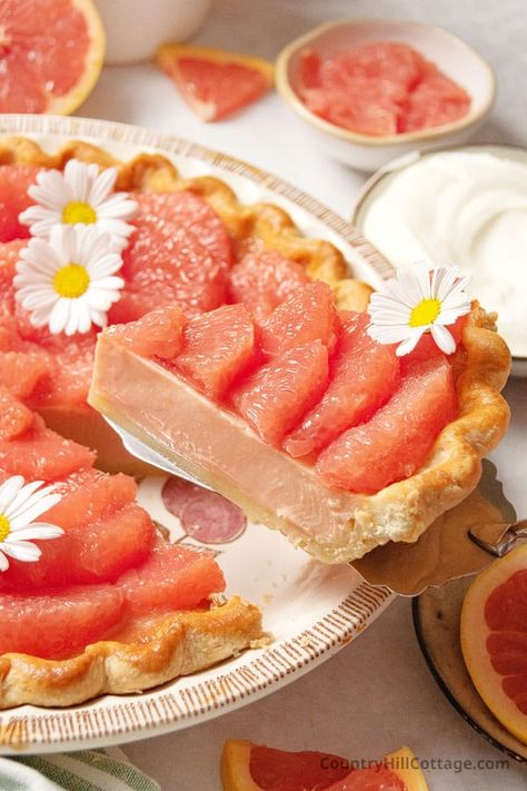 Create the perfect dessert for summer and Thanksgiving with this simple homemade grapefruit pie recipe. Made with sweetened condensed milk, a buttery pie crust or graham cracker crust, it’s filled with a creamy tart filling and grapefruit slices on top will have you swooning. The pie is full of flavor and a refreshing treat! It’s a great treat to eat with the family on holidays and celebrations, a lovely alternative to traditional pies such as lemon and key lime pie. | CountryHillCottage.com Raspberry Key Lime Pie, Grapefruit Pie Recipes, Grapefruit Pie, Grapefruit Dessert, Grapefruit Tart, Fruit Pie Recipe, Dessert For Summer, Healthy Cakes, Citrus Desserts