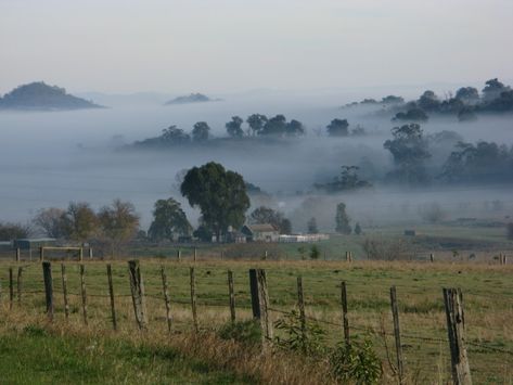 I see views like this quite often up here in the Dandenongs during winter Australian Winter Aesthetic, Winter Aesthetic Australia, Aussie Winter, Australian Gothic, Canada Aesthetic, Winter Australia, Winter Moodboard, Winter In Australia, Australian Winter