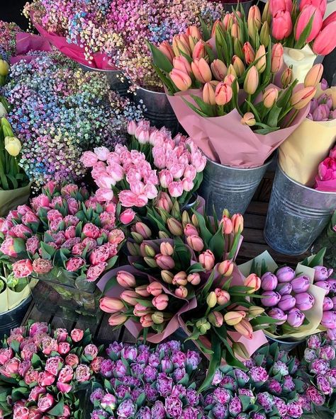 Instagram Flowers, Boquette Flowers, Nothing But Flowers, Pretty Pics, Flower Therapy, Beautiful Bouquet Of Flowers, Pretty Flower, Japanese Flowers, Spring Aesthetic