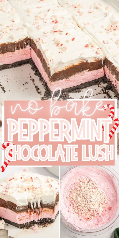 Peppermint Icebox Cake, Holiday Dessert For A Crowd, No Bake Christmas Lush, No Bake Lush Desserts, Frozen Peppermint Dessert, Chocolate Peppermint Lasagna, Holiday Pudding Desserts, Peppermint Lush Dessert, Peppermint Lasagna Dessert