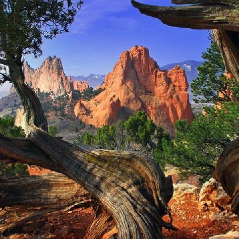 Colorado Aesthetic, Pikes Peak Colorado, Nature Photography Landscape, Visit Colorado, Garden Of The Gods, Continental Divide, Us Road Trip, Landscape Photography Nature, Pikes Peak