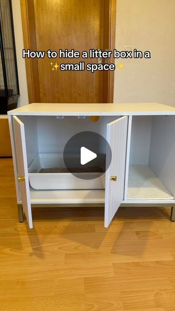 Built In Kitty Litter Cabinet, Apartment Litter Box Ideas, Litter Box Enclosure Diy Easy, Cat Litter Box Ideas Hidden Bathroom, Kitty Litter Box Ideas Small Spaces, Cat Litter Box Ideas Hidden Laundry Room, Hidden Litter Boxes Diy, Diy Hidden Litter Box Ideas, Cat Box Ideas