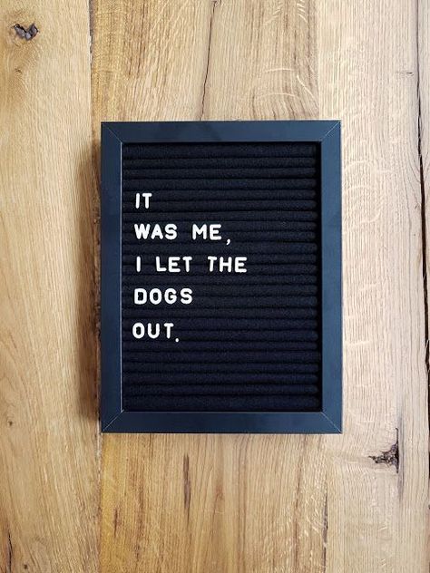 Letterboard Signs, Board Sayings, Message Board Quotes, Felt Letter Board, Word Board, Magnet Board, Funny Letters, Letter Boards, Board Quotes