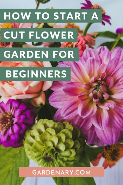 How to Start a Cut Flower Garden for Beginners • Gardenary Cut Flower Garden For Beginners, Flower Garden For Beginners, Flower Garden Layouts, Garden For Beginners, Growing Cut Flowers, Flower Garden Plans, Cut Flower Farm, Small Backyard Designs Layout, Cut Flower Garden