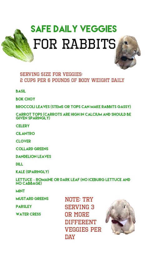 A list of safe vegetables to feed your rabbit #veggies #bunny #rabbits #list Bunny Safe Veggies, Best Vegetables For Rabbits, Wild Bunny Care, Bunny Food List, Homemade Rabbit Food, Rabbit Veggie List, Velveteen Lop Rabbit, Owning A Bunny, Bunny Essentials List