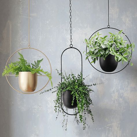 Diy hanging planter