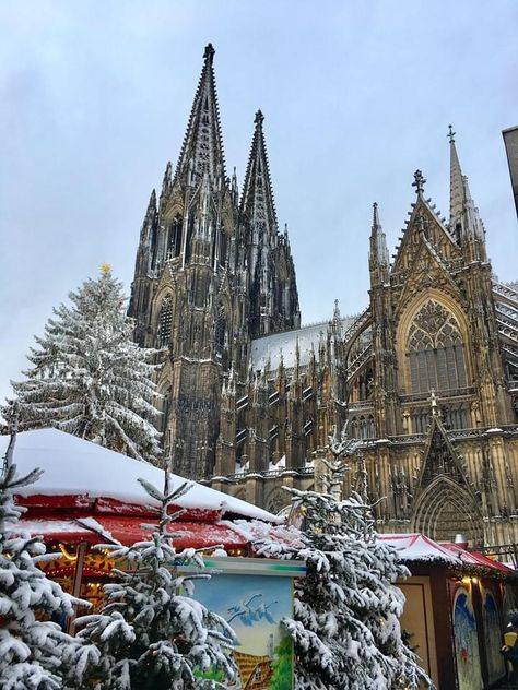 Germany Aesthetic Christmas, Christmas Market Cologne, Germany Travel Winter, Germany During Christmas, Cologne Germany Christmas, Germany At Christmas, Germany Aesthetic Winter, Christmas Cathedral, Cathedral Christmas