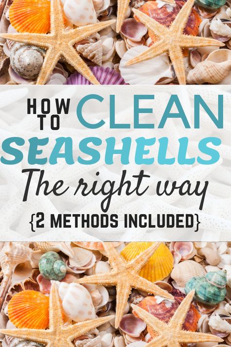 How To Clean Seashells, Clean Seashells, Cleaning Sea Shells, Tablet Recipe, Homemade Toilet Cleaner, Clean Baking Pans, Hardwood Floor Cleaner, Cleaning Painted Walls, Cleaning Tricks