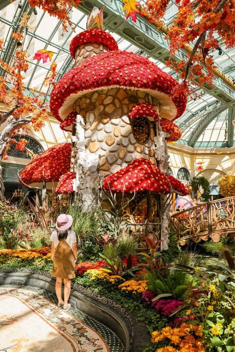 Bellagio Conservatory & Botanical Gardens - What You Need to Know Bellagio Conservatory, Conservatory Garden, Las Vegas Vacation, Vegas Vacation, Garden Christmas, Mushroom House, Family Trips, Art Theme, Outdoor Decor Backyard