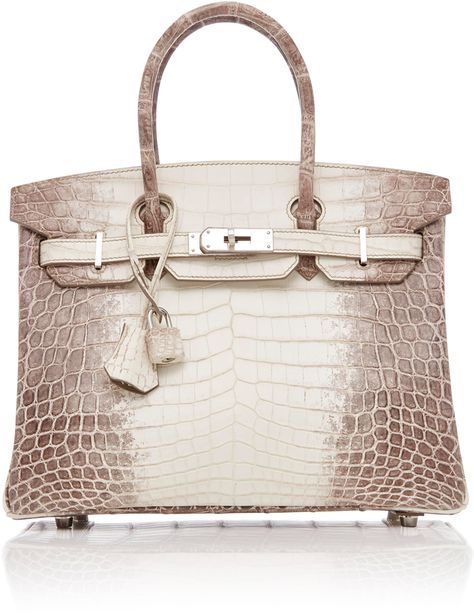 Heritage Auctions #ad Special Collection Hermes 30Cm White Himalayan Matte Nilo Crocodile Birkin Rare Hermes Birkin, Trajes Kylie Jenner, Nile Crocodile, Hermes Birkin 30, Hermes Handbags, Crocodile Leather, Hermes Bags, Gucci Bags, Hermes Bag