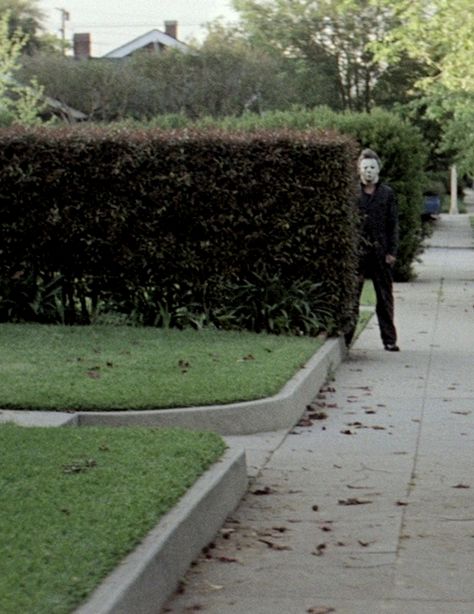 The Night He Came Home, Halloween Franchise, John Carpenter Halloween, Michael Meyer, Goose Bumps, Halloween 1978, Halloween Film, Slasher Movies, Horror Movie Icons