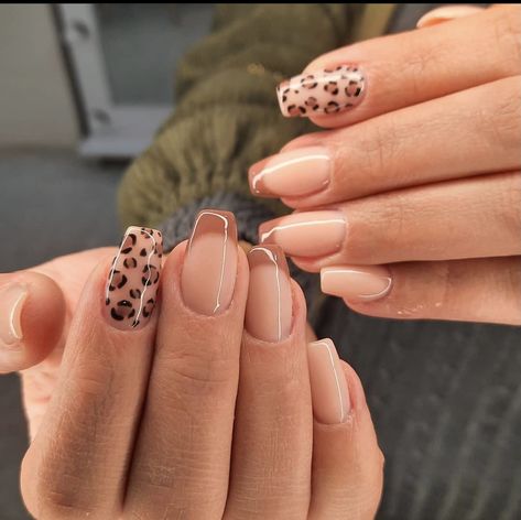 Acrylic Nail Designs Cheetah Print, Tan Cheetah Nails, Cheetah Print Acrylics, Cheetah Print Fall Nails, Chetta Print Nail, Safari Nail Ideas, Cheetah Accent Nails, Nude Cheetah Nails, Nail Designs Cheetah Print