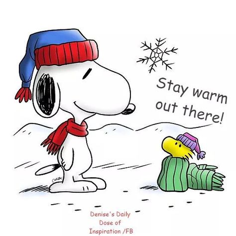 ❤️Stay warm out there❤️ Stay Warm Quotes, Snoopy Winter, Warm Quotes, Woodstock Snoopy, Woodstock Peanuts, Snoopy Comics, Snoopy Cartoon, Snoopy Funny, Snoopy Halloween