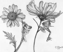 frogs Frog And Sunflower Tattoo, Frog On A Flower Tattoo, Frogs And Flowers Tattoos, Tree Frog Tattoos Black And White, Flower And Frog Tattoo, Frog With Flower Drawing, Frog On Leaf Drawing, Frog Sunflower Tattoo, Frog And Flowers Tattoo