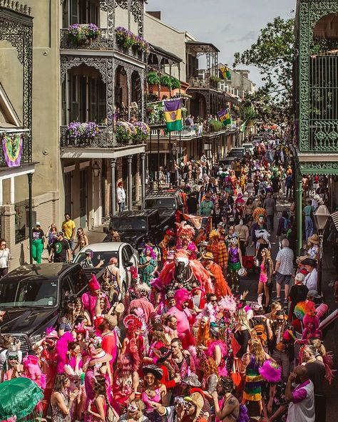 Valerie Esparza | New Orleans (@nola_val) • Instagram photos and videos Ash Wednesday, Twelfth Night, Fat Tuesday, Mardi Gras, Rio De Janeiro, Green And Gold, New Orleans, Life Is, Carnival