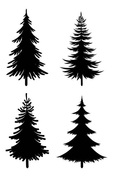 32,600+ Pine Trees Silhouette Stock Photos, Pictures & Royalty-Free Images - iStock | Pine tree vector, Tree line, Pacific northwest trees Pine Trees Silhouette, Christmas Illustration Design, Trees Silhouette, Vintage Typography Design, Christmas Tree Silhouette, Pine Tree Silhouette, Laser Cut Decor, Laser Cut Earrings Acrylics, Forest Silhouette